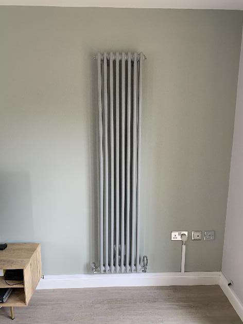 Designer radiator installation